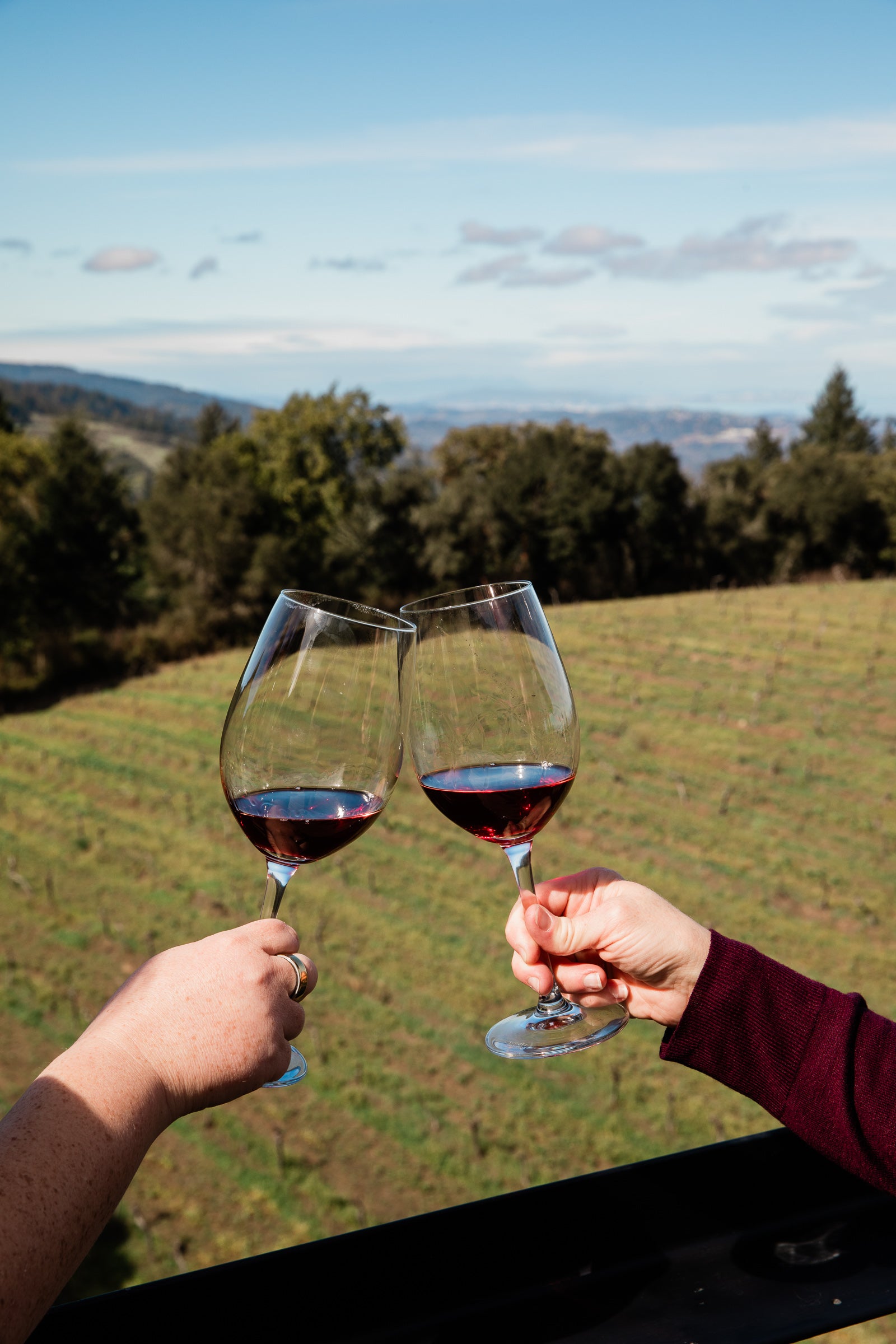0051-TFW-2026-wine-club-pick-up-web-res-22901051.jpg