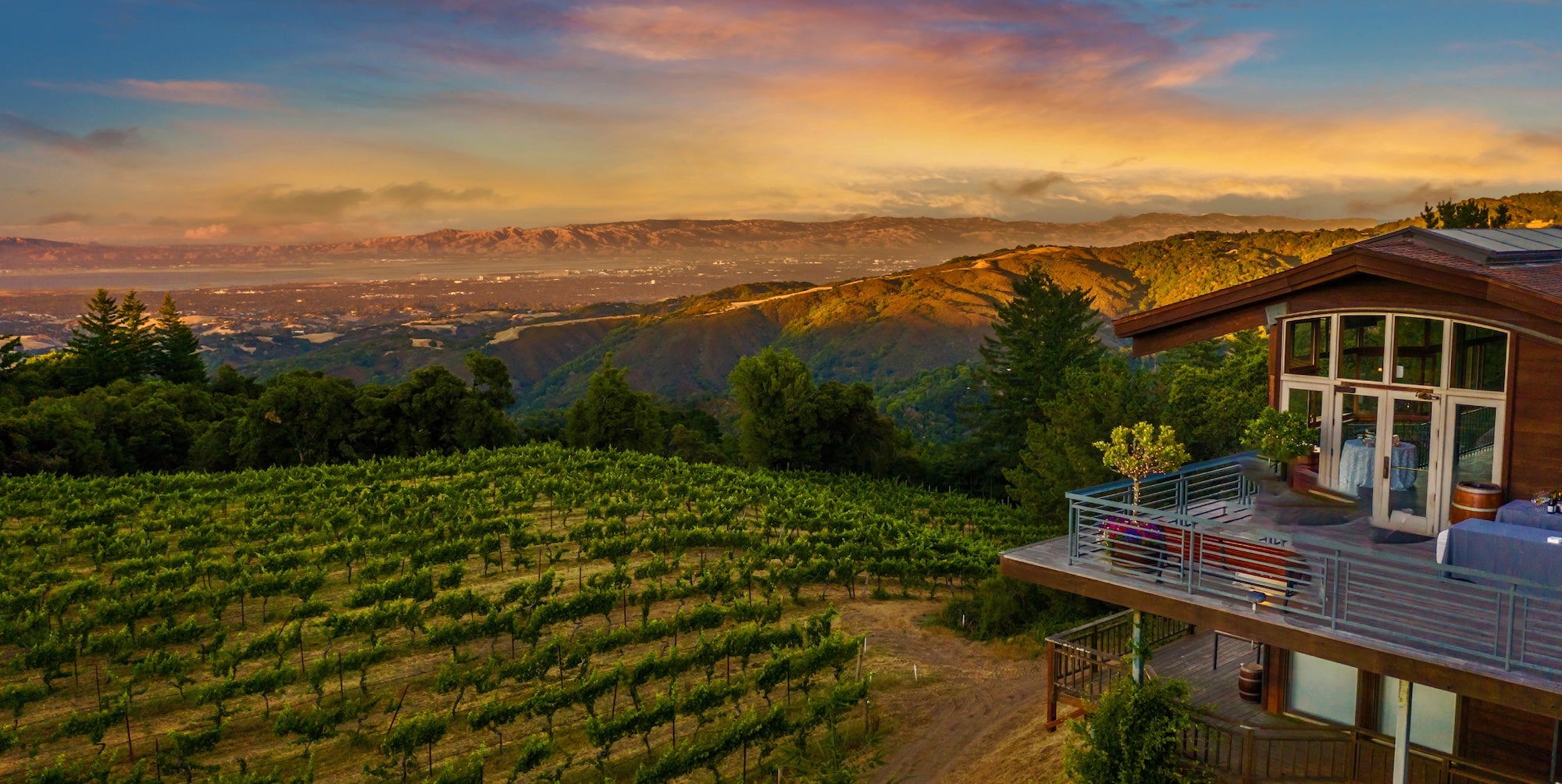 1_Group_Wine_Experience_Top_Banner.jpg