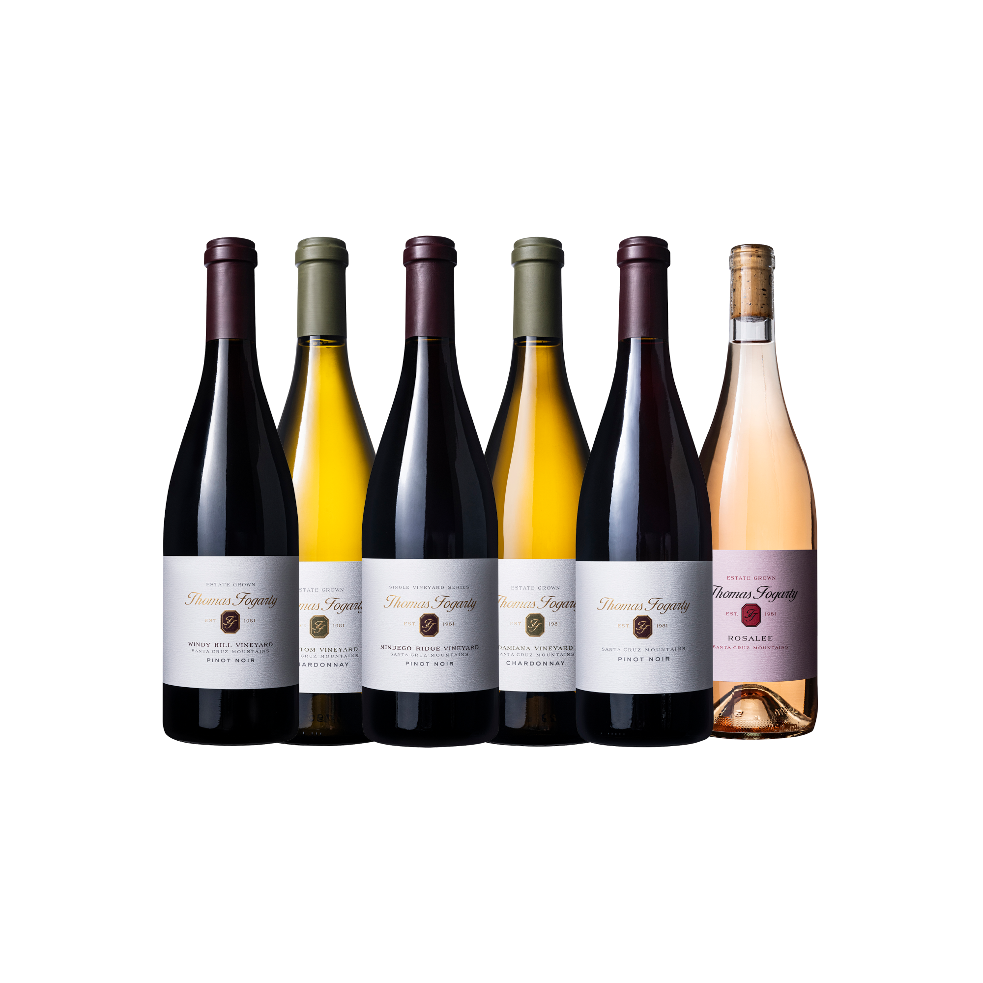 6 BTL MYSTERY PACK