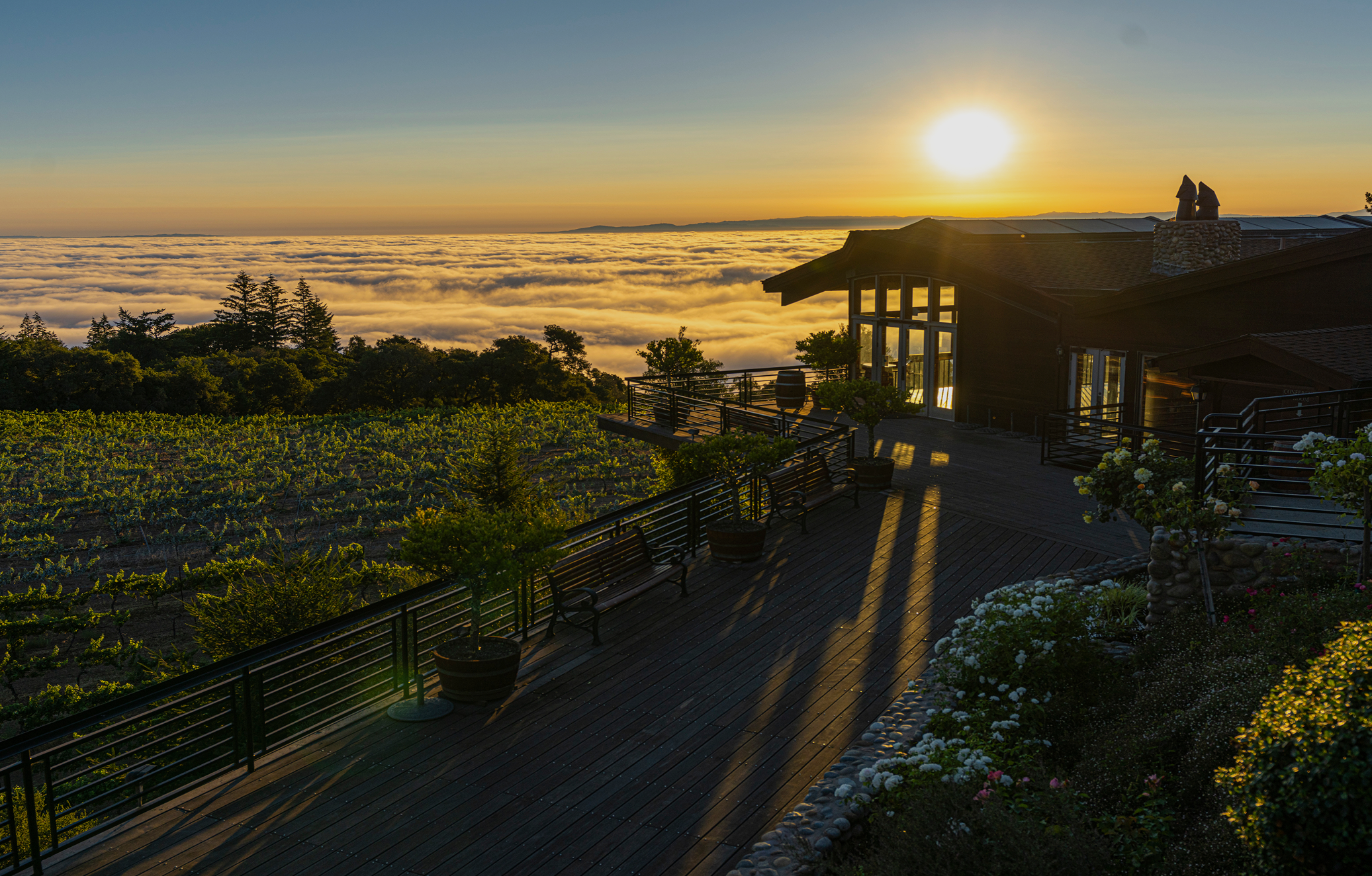 Main_Image_Winery.png