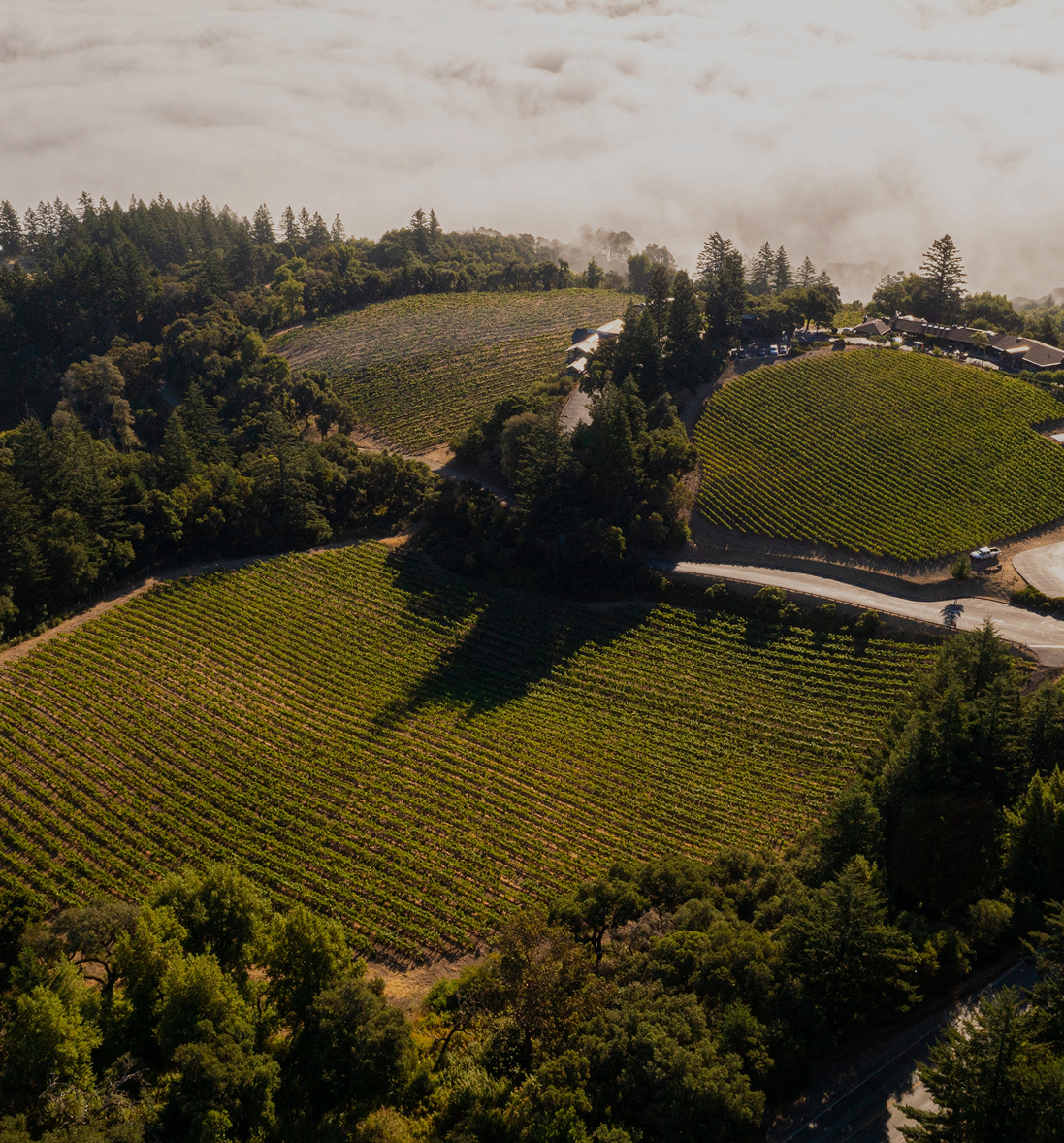 Menlo Park Wine Walk