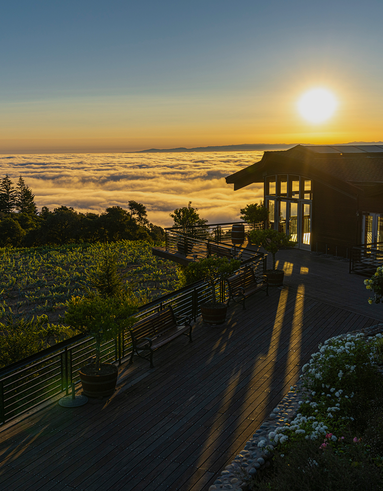 “Wine &amp; Food Faire” Featuring Thomas Fogarty Winery, Lexington Wine Co., Precedent Wines &amp; Ghostnote Wines