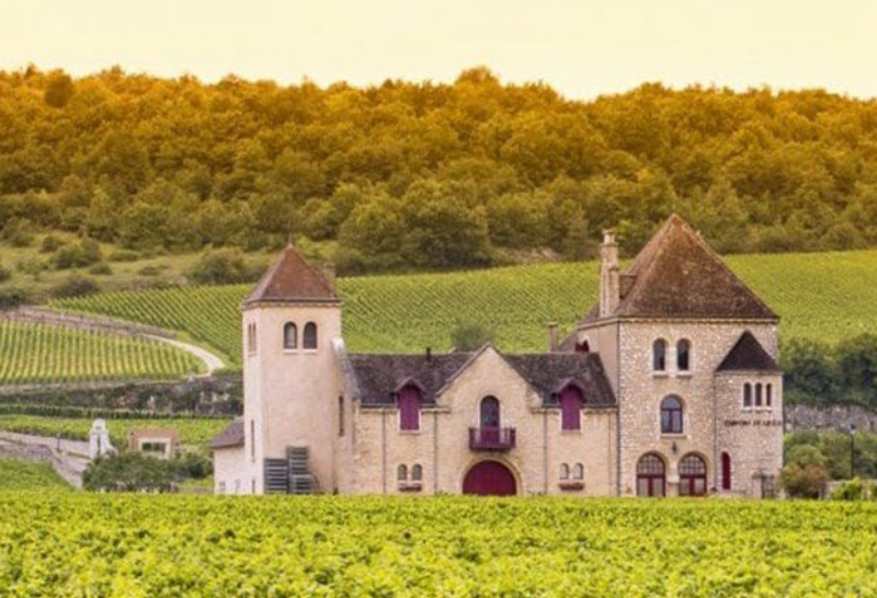 Savor the Flavors of Burgundy Cruise