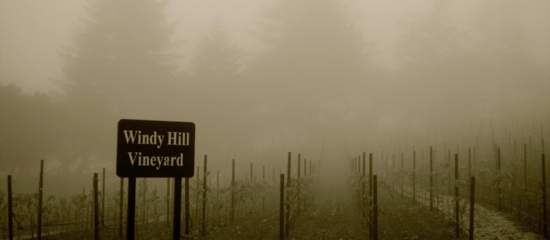 Windy Hill