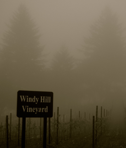 Windy Hill